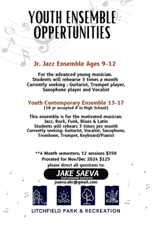 Youth Music Ensemble Opportunities