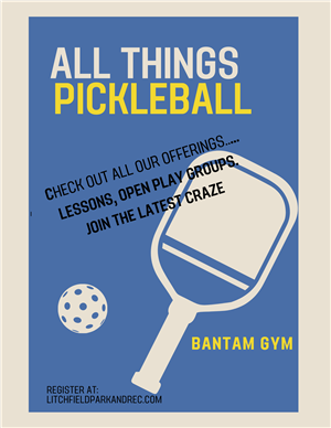 ALL THINGS PICKLEBALL 